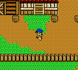 Bokujou Monogatari 3: Boy Meets Girl screenshot 4 for GameBoy Color